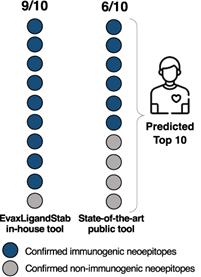 Graphic