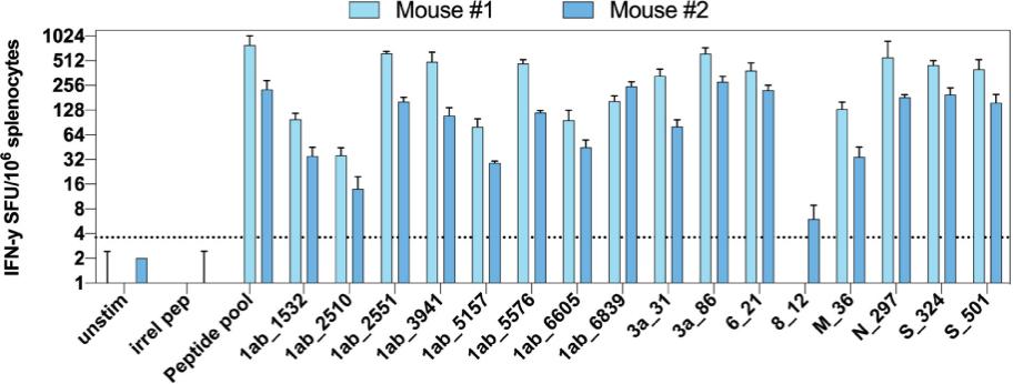 tm2119736d1-bc_31figure4c.jpg