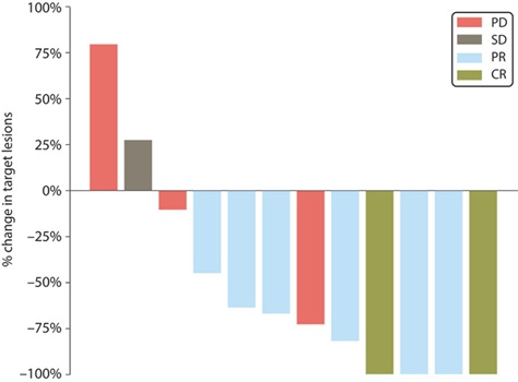 fig12.jpg
