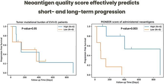 fig16.jpg