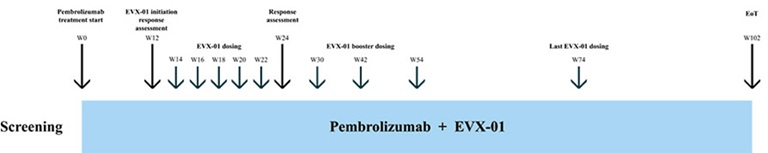 fig17.jpg