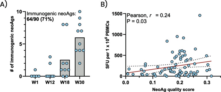 fig19a.jpg