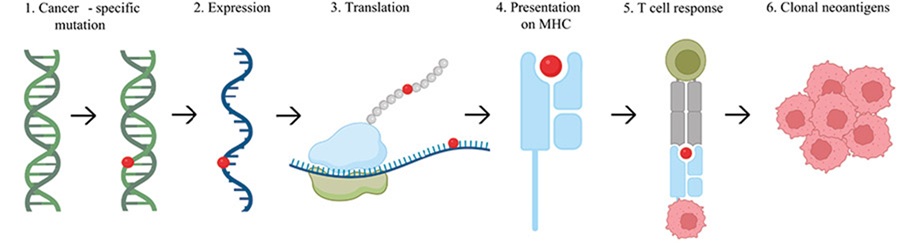 fig5.jpg
