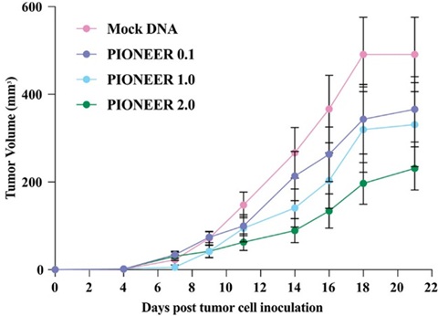 fig7.jpg