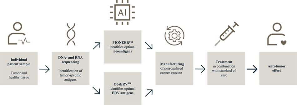 fig8.jpg