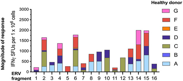 figure6.jpg