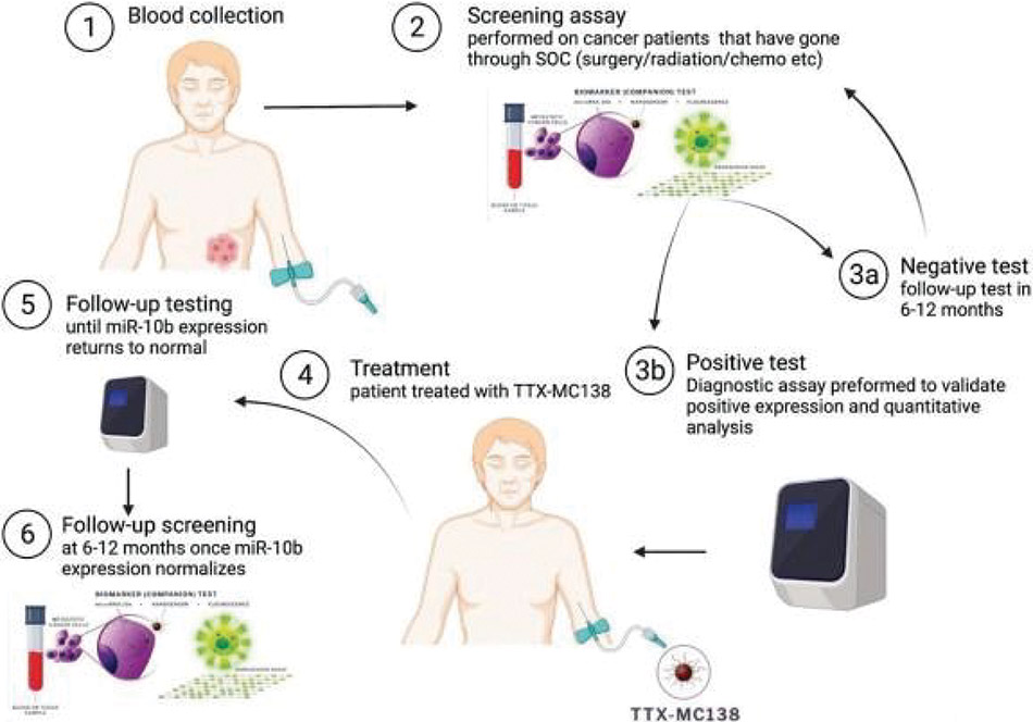 [MISSING IMAGE: fc_figure14-4clr.jpg]