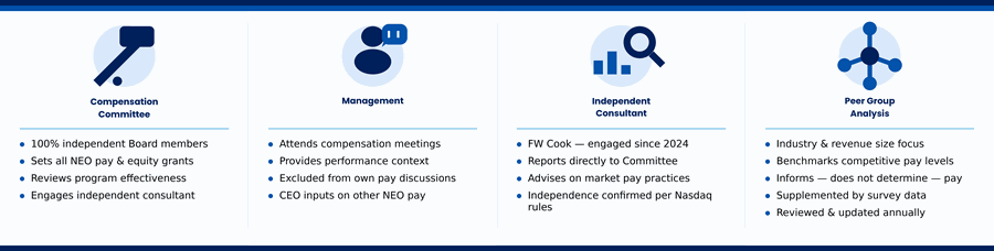 compensation process graphic CD&A.gif