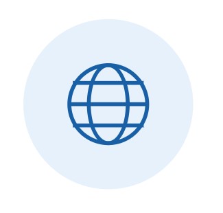 Icon - internet voting.jpg