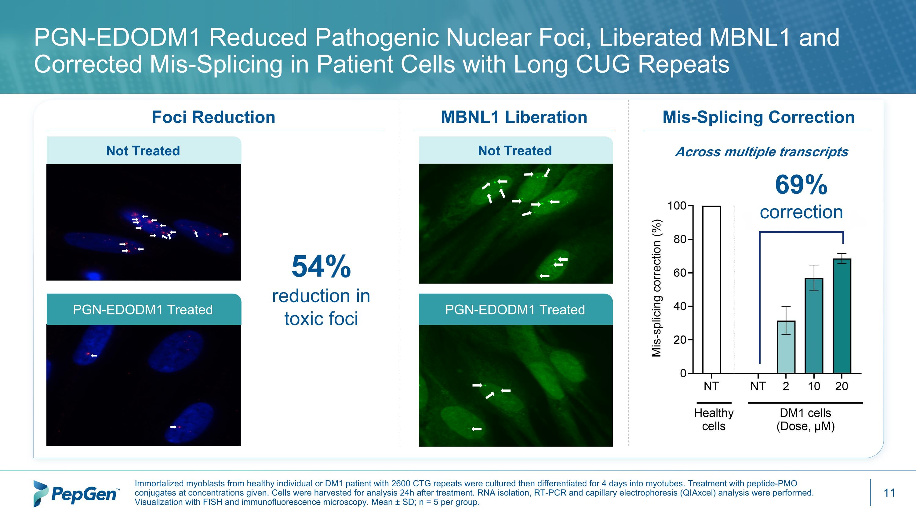 Slide 11