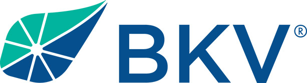 [MISSING IMAGE: lg_bkvr-4c.jpg]