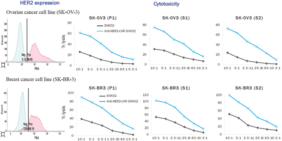 [MISSING IMAGE: lc_her2express-4clr.jpg]