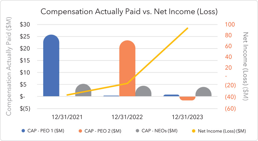 [MISSING IMAGE: bc_netloss-pn.jpg]