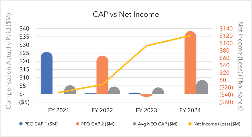 [MISSING IMAGE: bc_capnetincome-pn.jpg]