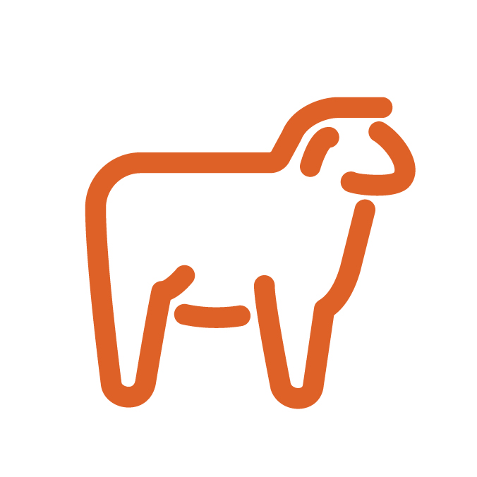 Proxy-Icons-03.jpg