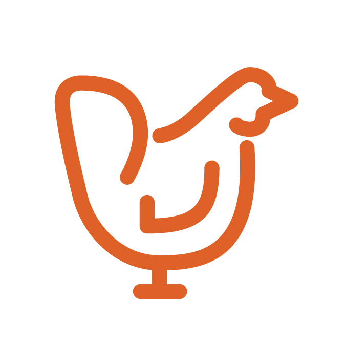 Proxy-Icons-04.jpg