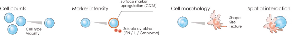 [MISSING IMAGE: tm2119783d1-tbl_cellcou4clr.jpg]