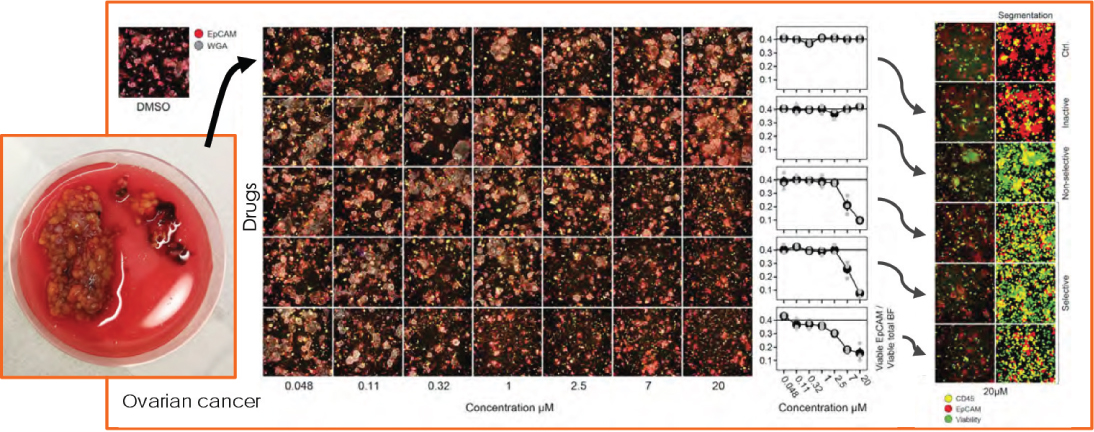 [MISSING IMAGE: tm2119783d5-ph_clinical4clr.jpg]