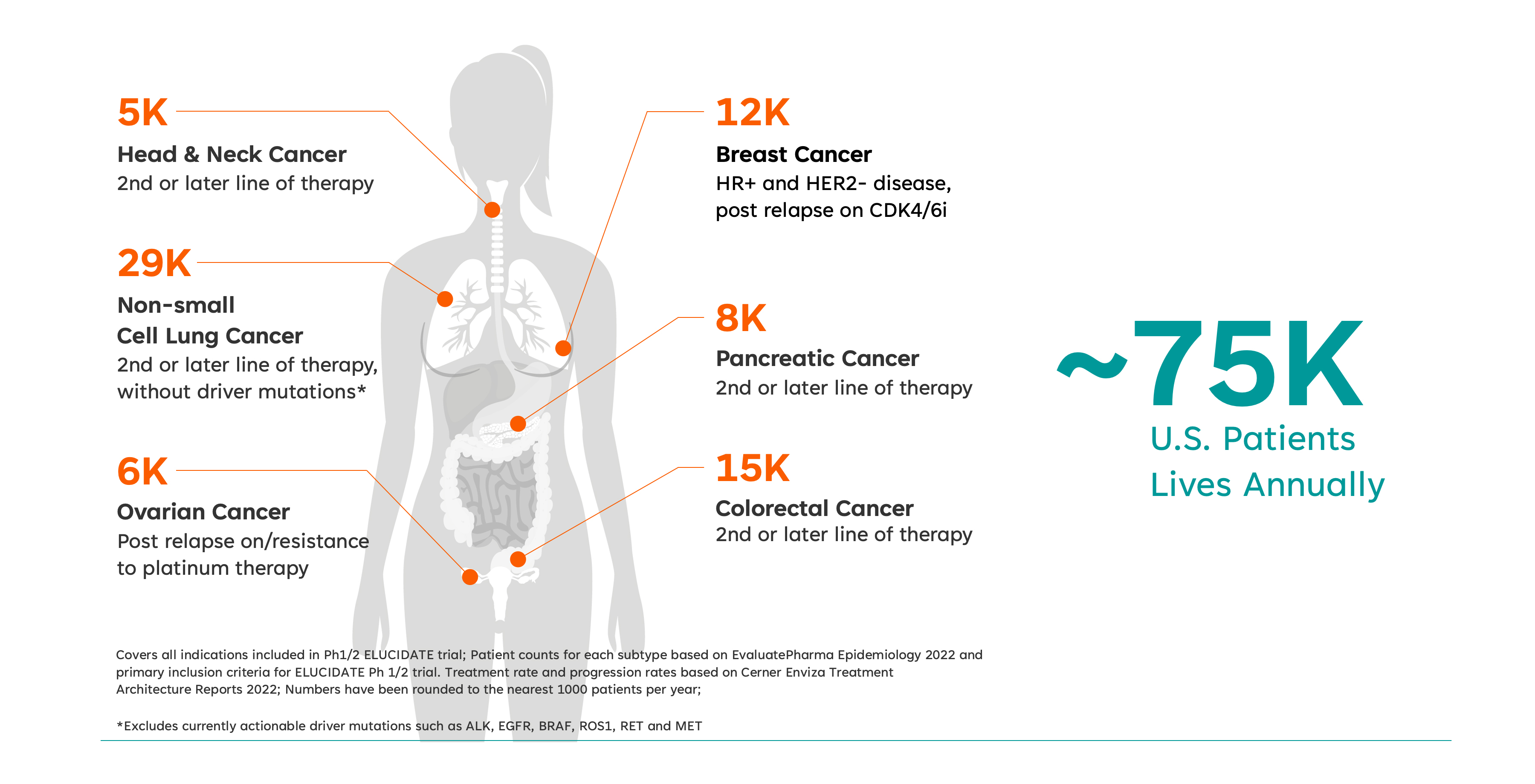 CDK7_patient data.jpg