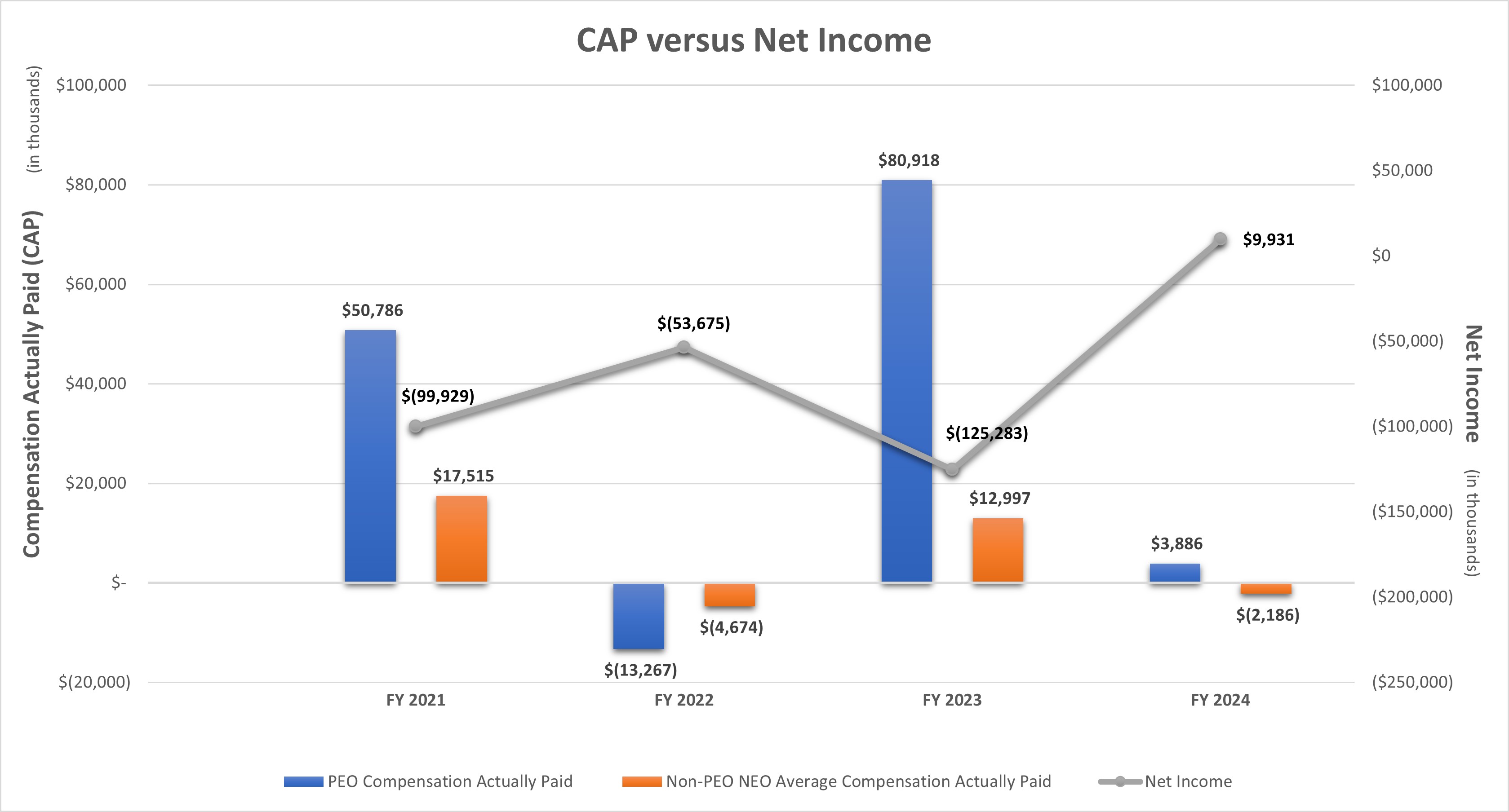 CAP vs Net Income 2024.jpg