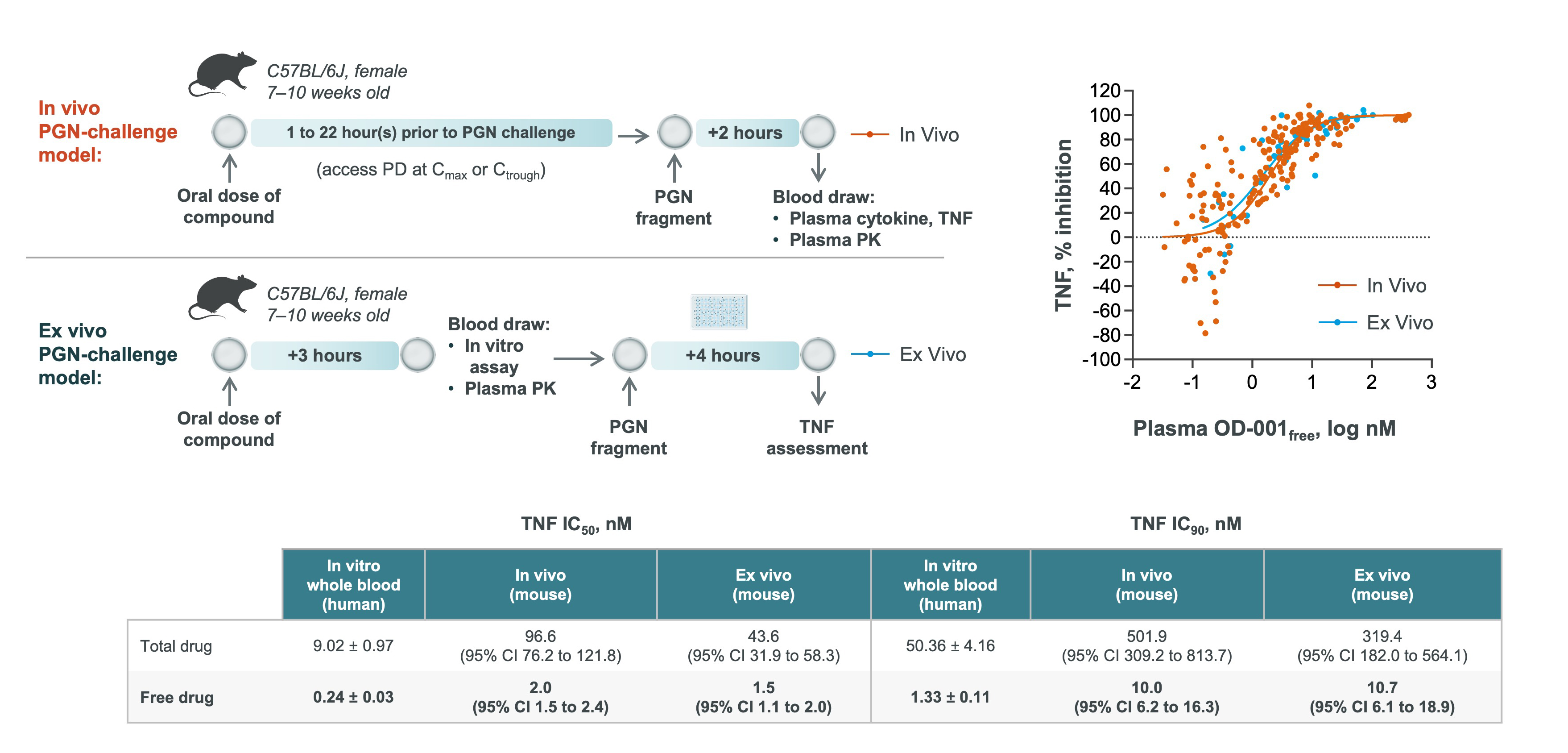 img52396371_23.jpg