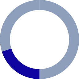 pie_remuneration-policy_20% Cash Cost.jpg