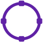 icon_measurementpurple.jpg