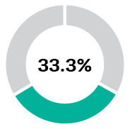 426007-1_piechart_Measure_33.3%_Adjusted net income.jpg