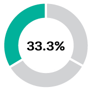 426007-1_piechart_Measure_33.3%_Free Cash flow.jpg
