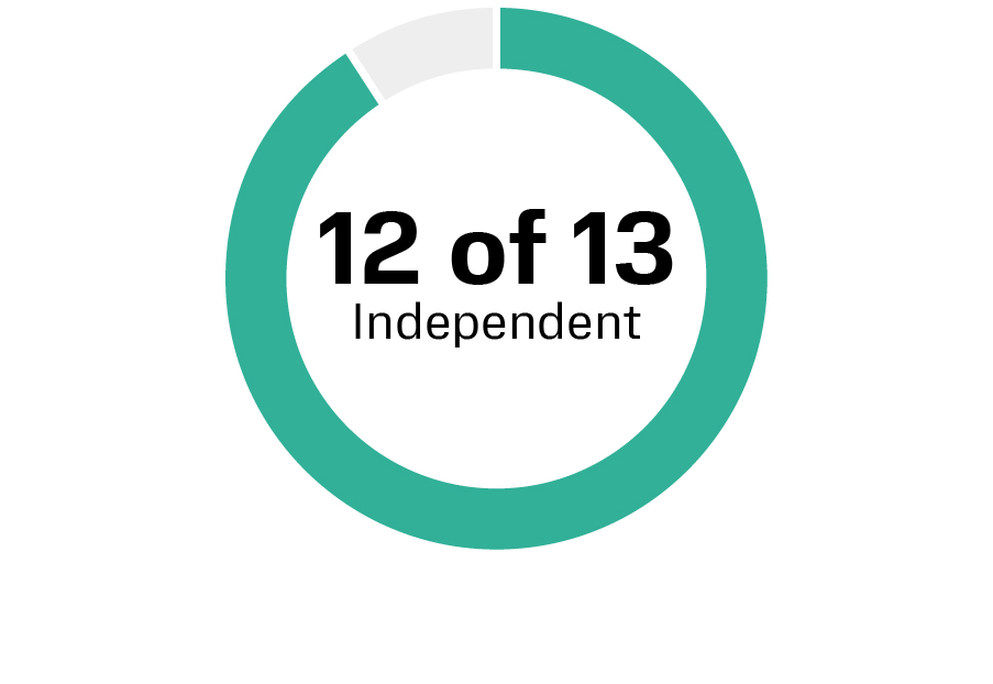 03_PRO013304_pie_director nominees (1)_Independence.jpg