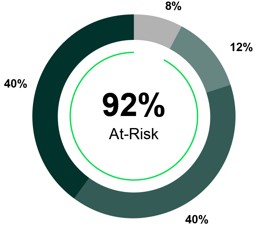 03 438981-1_pie_compensationmix_CEO_v2.jpg
