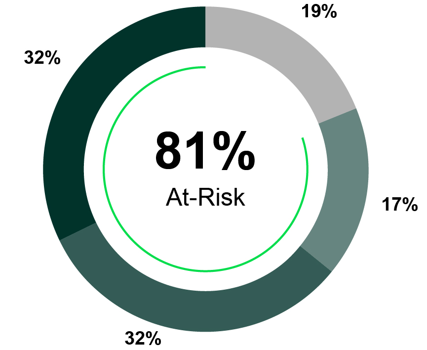 03 438981-1_pie_compensationmix_NEO.jpg