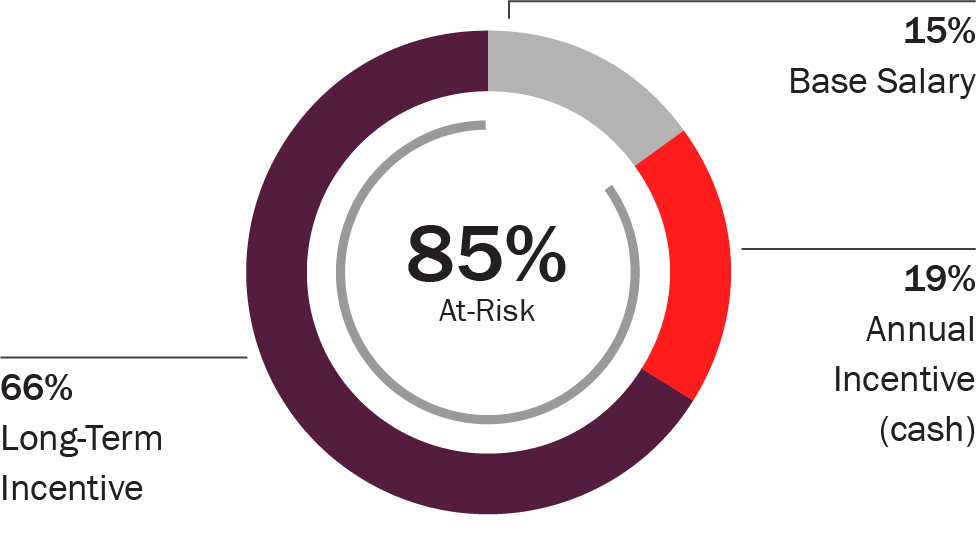 03_426972-1_piechart_paymixceo.jpg