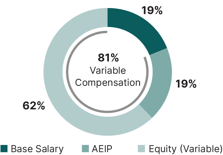 03_PRO013252_pie_target compensation_Other NEO.jpg
