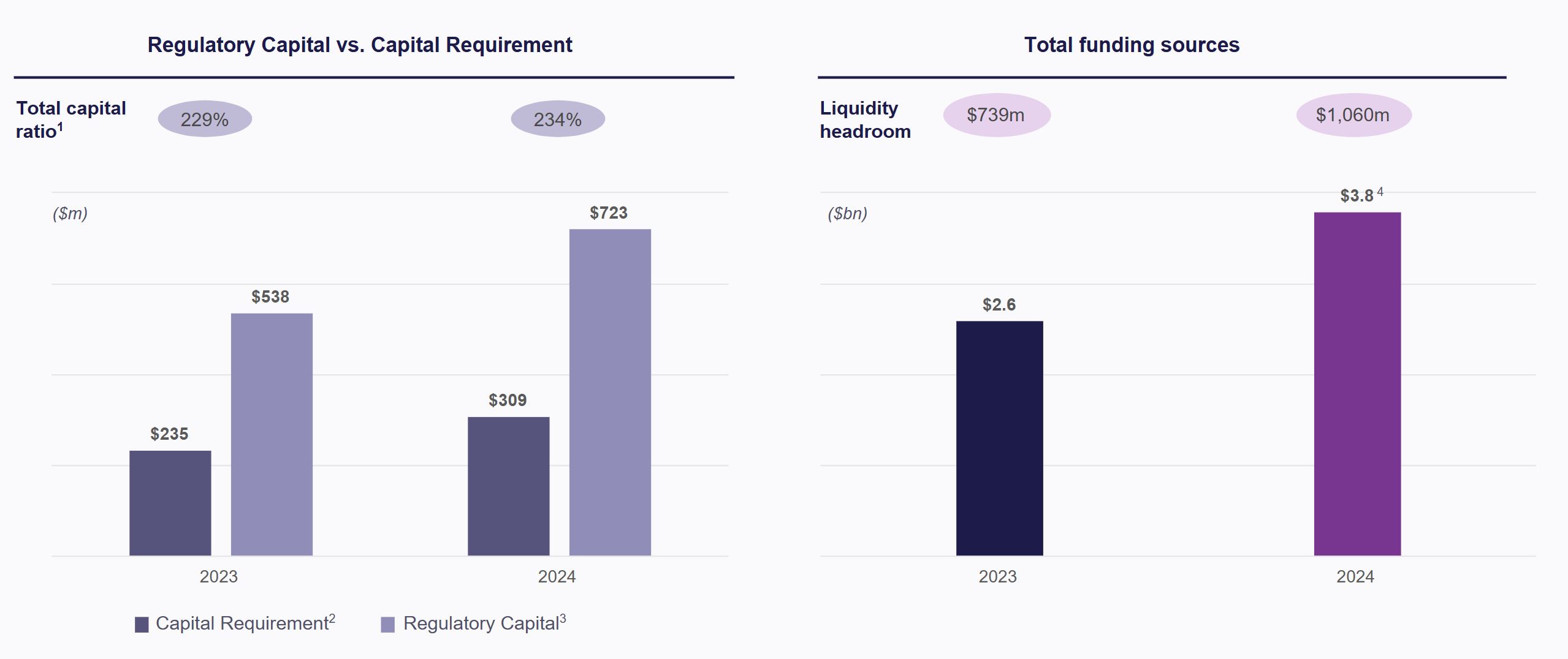 Capital and liquidity slide investor presentation FY 2024.jpg
