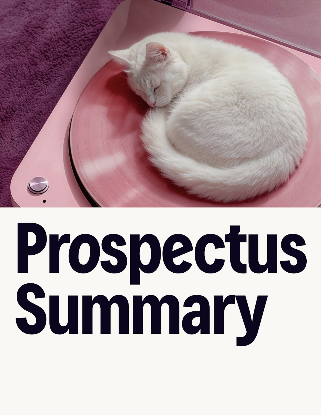 prospectussummaryart1aa.jpg