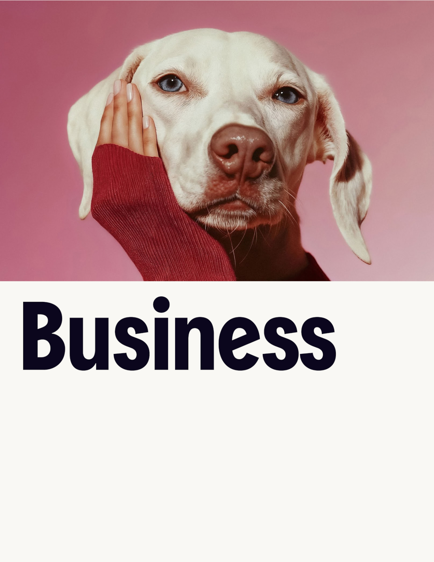 businesscover1aa.jpg
