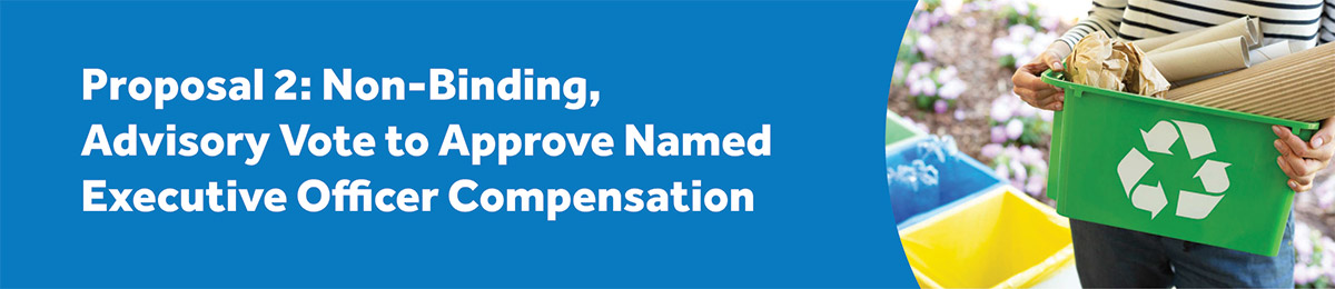 [MISSING IMAGE: bn_proposal2-4c.jpg]