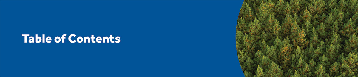 [MISSING IMAGE: bn_tableofcontents-4c.jpg]