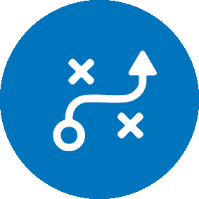 [MISSING IMAGE: ic_strategy-pn.gif]