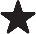 02 PRO013216_icon_shape_star.jpg