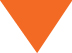 02_icon_BLK_PXY_Corporate Governance_down.jpg