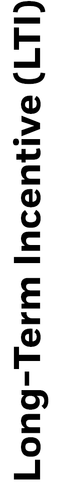 04_BLK_Exec Comp_LTI.jpg